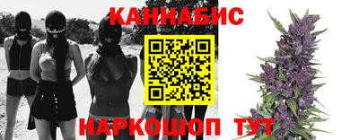 мдпв Тула