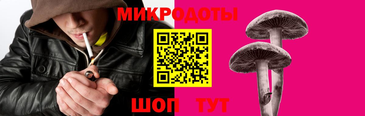 Псилоцибиновые грибы Cubensis Новочеркасск